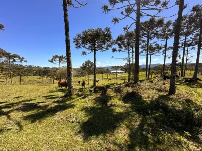 Lote/Terreno à venda, 20000m² no , Urubici