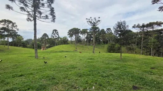 Fazenda/Sítio com 2 Quartos à venda, 126m² no , Campo Alegre