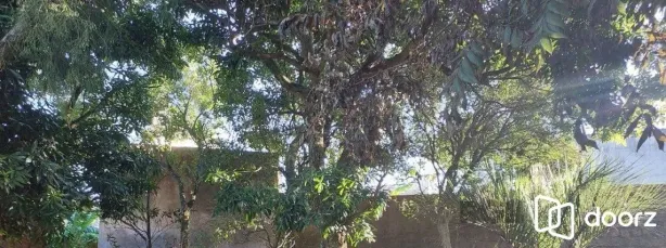 Lote/Terreno à venda, 836m² no Menino Deus, Porto Alegre