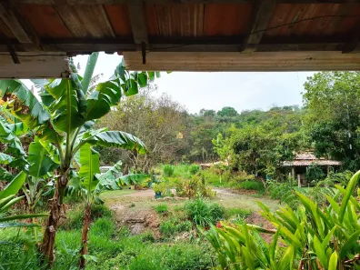 Fazenda/Sítio com 6 Quartos à venda, 2600m² no Vila Ipê Amarelo, Contagem