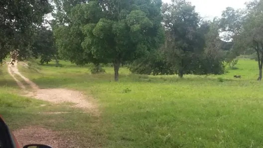 Fazenda/Sítio à venda, 22320000m² no Área Rural de Barreiras, Barreiras