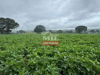 Fazenda/Sítio à venda, 500m² no , Bela Vista de Goiás