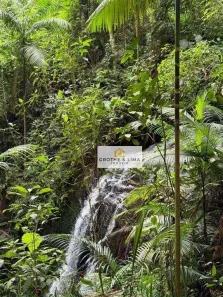 Fazenda/Sítio com 4 Quartos à venda, 400m² no Vila Nossa Senhora da Guia, Tremembé