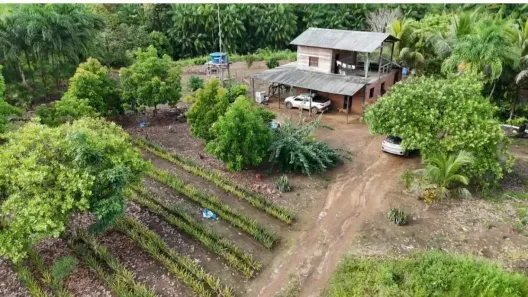 Fazenda/Sítio com 2 Quartos à venda, 470000m² no , Porto Grande