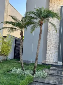 Casa de Condomínio com 3 Quartos à venda, 220m² no Condomínio Terras Alpha Anápolis, Anápolis