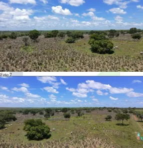 Fazenda/Sítio à venda, 4340000m² no Setor Central, Araguaçu