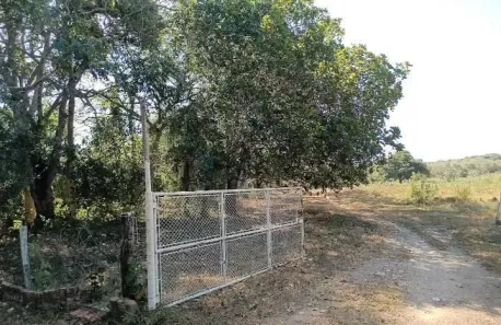 Fazenda/Sítio com 3 Quartos à venda, 71m² no Ribeirão do Lipa, Cuiabá