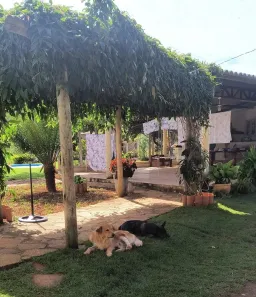 Fazenda/Sítio com 3 Quartos à venda, 21000m² no Ponte Alta Norte, Brasília