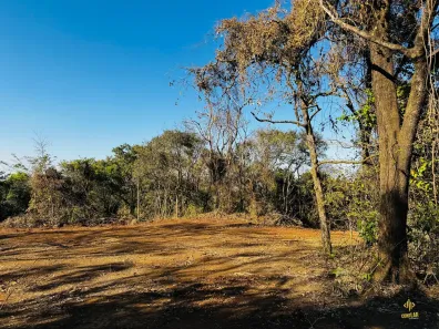 Lote/Terreno à venda, 25600m² no Itamaraty, Anápolis