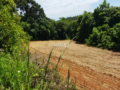 Fazenda/Sítio à venda, 24428m² no Porto das Laranjeiras, Araucária