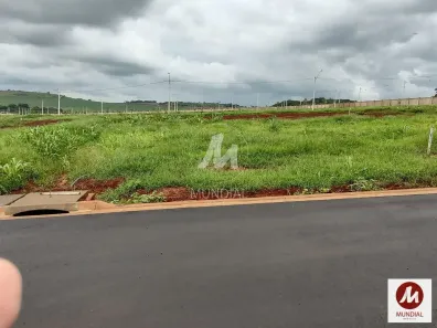 Casa de Condomínio com 3 Quartos à venda, 161m² no Recreio Anhangüera, Ribeirão Preto