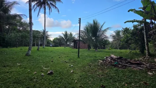 Fazenda/Sítio com 3 Quartos à venda, 730000m² no Taboquinhas, Itacaré