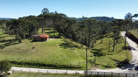 Fazenda/Sítio à venda, 32000m² no , Rio Rufino