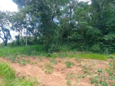 Lote/Terreno à venda, 3700m² no Vista Alegre, Vinhedo