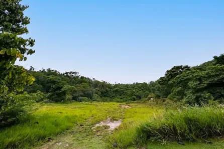 Lote/Terreno à venda, 8800m² no Pedro do Rio, Petrópolis