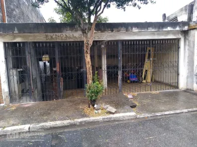Lote/Terreno à venda, 175m² no Vila Paranaguá, São Paulo
