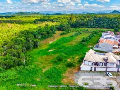 Lote/Terreno à venda, 10650m² no Centro, Araquari