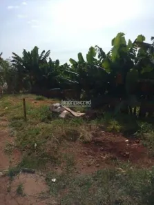 Lote/Terreno à venda, 502m² no Jardim Anaterra, Londrina