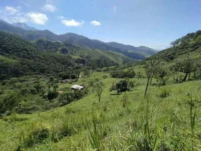 Fazenda/Sítio com 5 Quartos à venda, 450m² no , Piquete