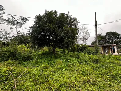 Lote/Terreno à venda, 292m² no Chácara Glória, Itanhaém
