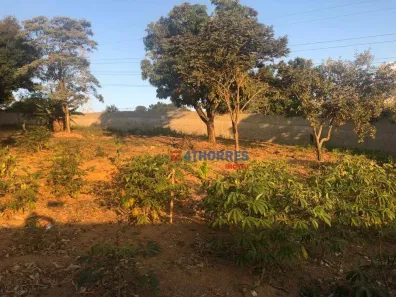 Lote/Terreno para alugar, 3800m² no Jardim Professor Benoá, Santana de Parnaíba