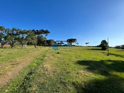 Fazenda/Sítio à venda, 80m² no Vila Seca, Caxias do Sul