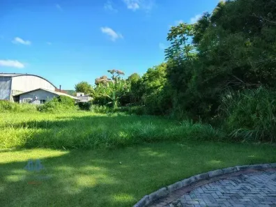 Lote/Terreno à venda, 807m² no Ratones, Florianópolis