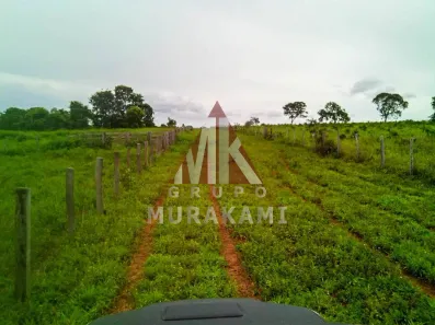 Fazenda/Sítio com 1 Quarto à venda, 10000m² no , Paranatinga