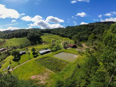 Fazenda/Sítio com 1 Quarto à venda, 110000m² no Cedro Alto, Rio dos Cedros
