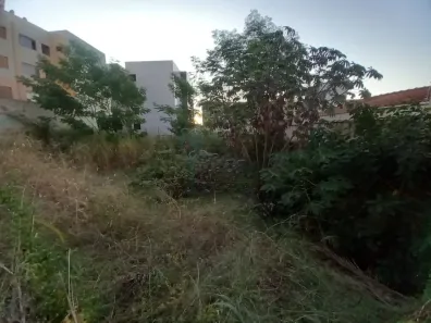 Lote/Terreno para alugar, 704m² no Jardim Sumaré, Ribeirão Preto