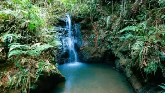Fazenda/Sítio com 12 Quartos à venda, 480000m² no , Rio Acima