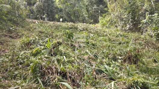 Lote/Terreno à venda, 468m² no Cônego, Nova Friburgo