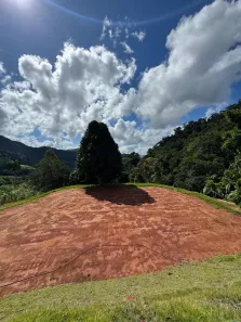Lote/Terreno à venda, 5000m² no , Santa Teresa