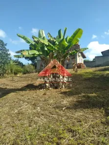 Lote/Terreno à venda, 2366m² no Jardim Santa Maria III, São José dos Campos