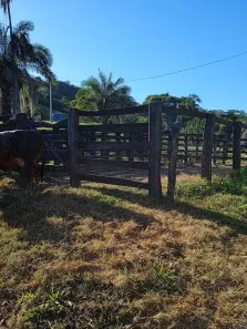 Fazenda/Sítio com 3 Quartos à venda, 14m² no , Varjão