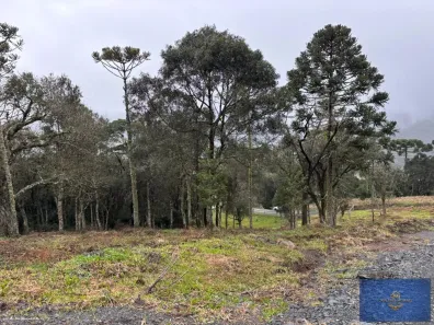 Fazenda/Sítio à venda, 20000m² no , Urubici