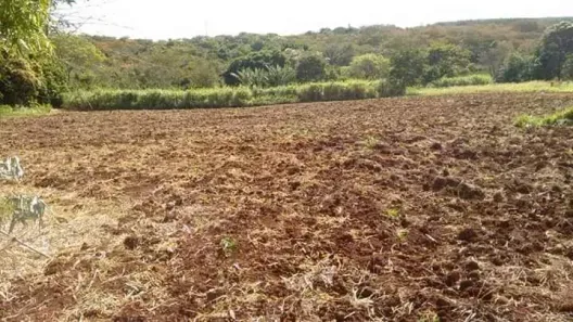 Fazenda/Sítio à venda, 15000m² no Bom Fim, Jaraguari