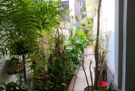 Casa com 3 Quartos à venda, 295m² no Vila Ida, São Paulo