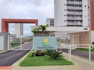 Apartamento com 2 Quartos para alugar, 53m² no Vila Velosa, Araraquara