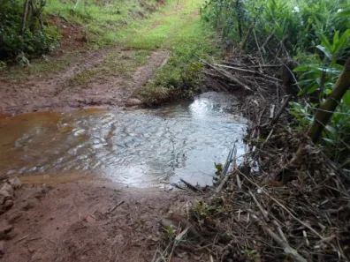 Lote/Terreno com 1 Quarto à venda, 120000m² no , Rio Manso