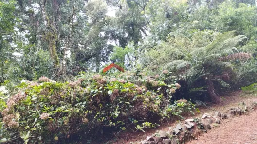 Lote/Terreno à venda, 960m² no Centro, São Francisco de Paula