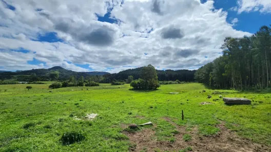 Fazenda/Sítio à venda, 60000m² no , Bocaina do Sul