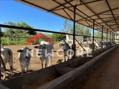 Fazenda/Sítio com 4 Quartos à venda, 14200m² no Chácara Marambaia, Caçapava