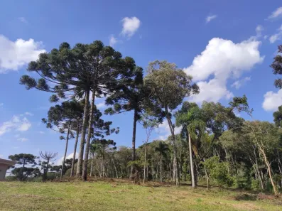 Lote/Terreno à venda, 4295m² no Jardim Patricia, Quatro Barras