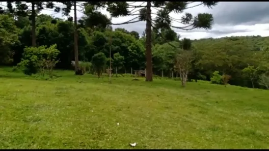 Fazenda/Sítio com 3 Quartos à venda, 23m² no , Campina Grande do Sul