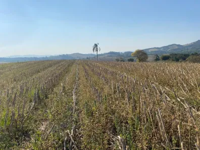 Fazenda/Sítio à venda, 30219m² no , Ouro Fino