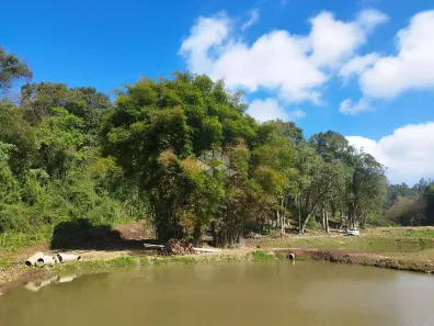 Fazenda/Sítio à venda, 14169m² no , Boa Vista do Sul