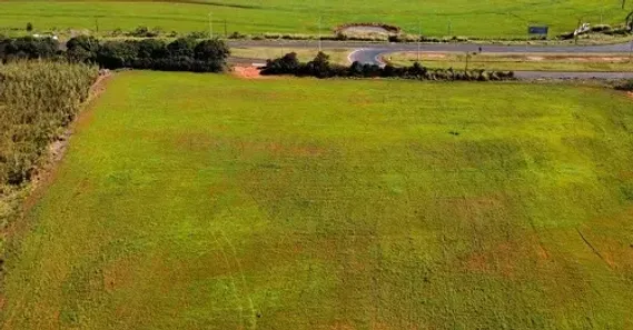 Fazenda/Sítio à venda, 160688m² no , Jaguapitã