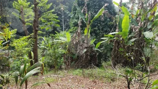 Lote/Terreno à venda, 540m² no Badu, Niterói