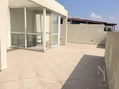 Apartamento com 3 Quartos para alugar, 70m² no Vila Santana, São Paulo
